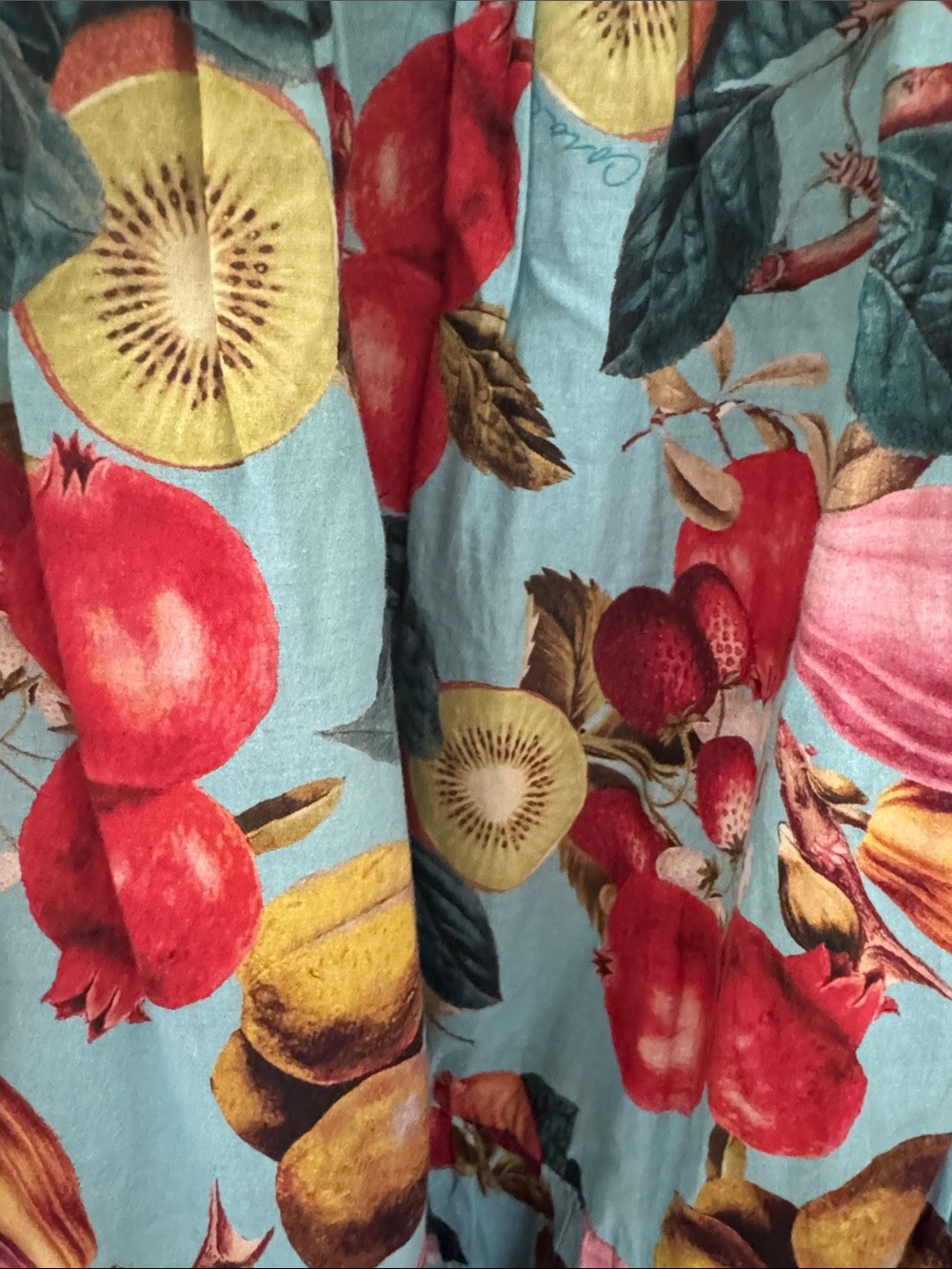 Cara Cara Aqua Tiered Maxi Skirt with Fruit Print - Picture 3 of 5